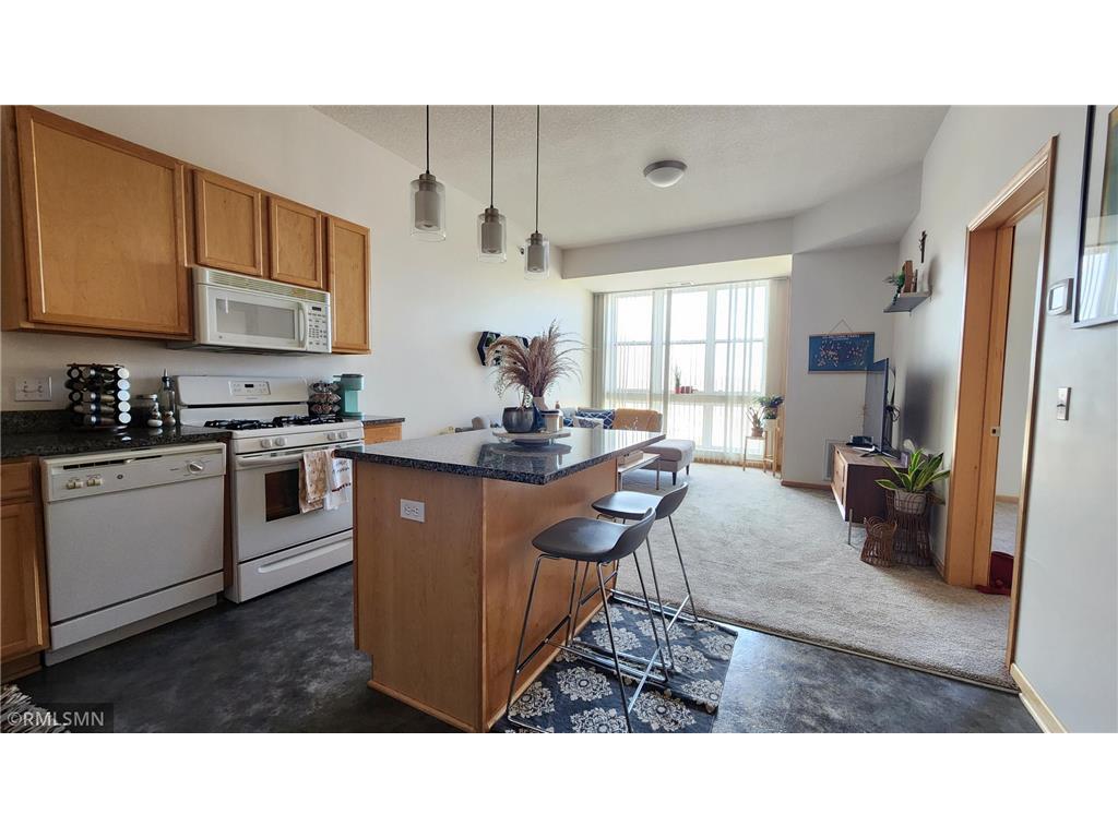 2650 University Avenue W #323 Saint Paul MN 55114 7033405 image4