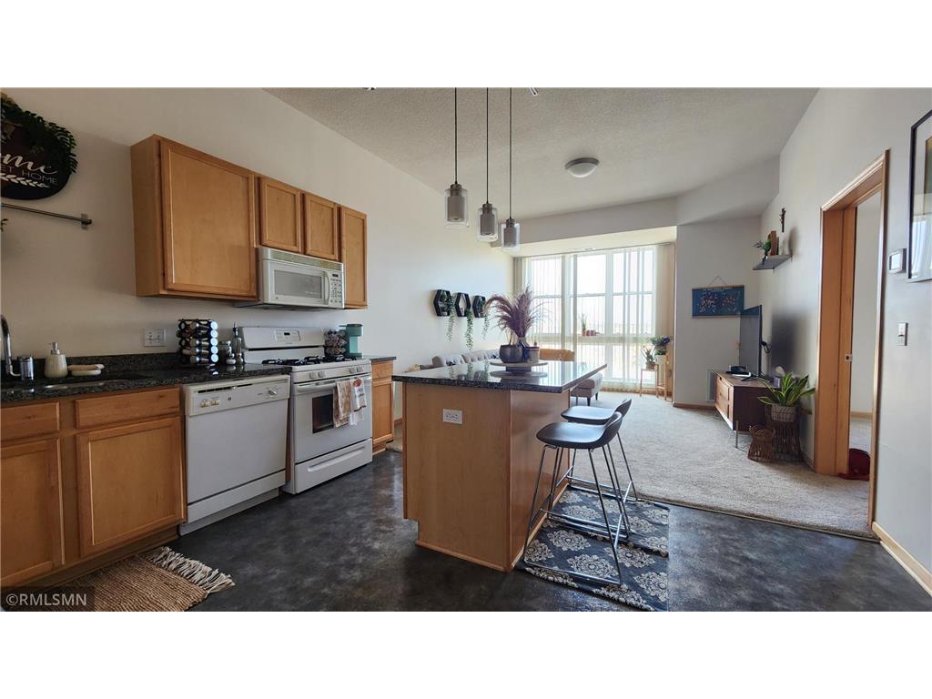 2650 University Avenue W #323 Saint Paul MN 55114 7033405 image7