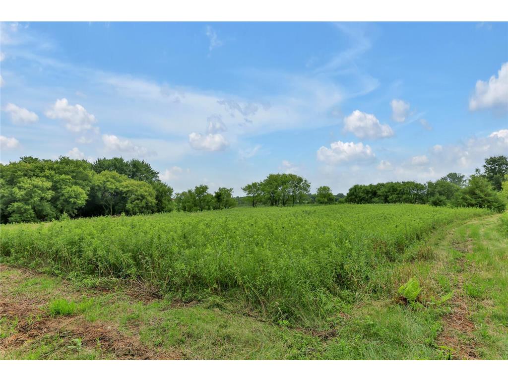 26505 Morgan Avenue Chisago Lake Twp MN 55013 6780609 image38