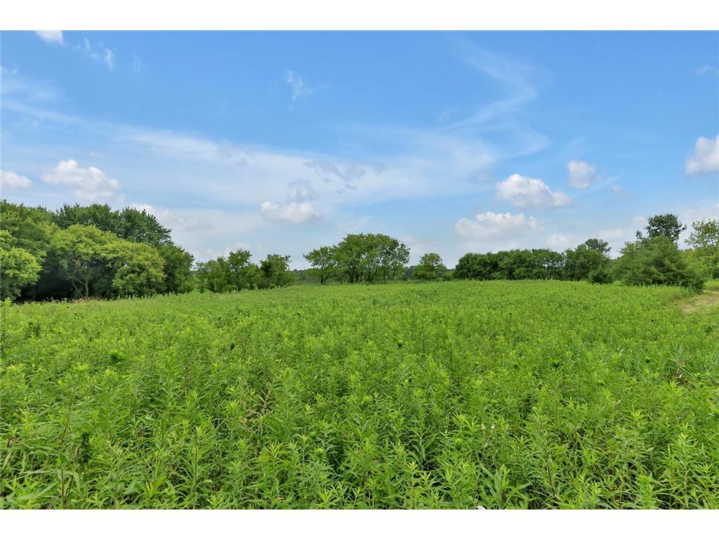 26505 Morgan Avenue Chisago Lake Twp MN 55013 6780609 image39