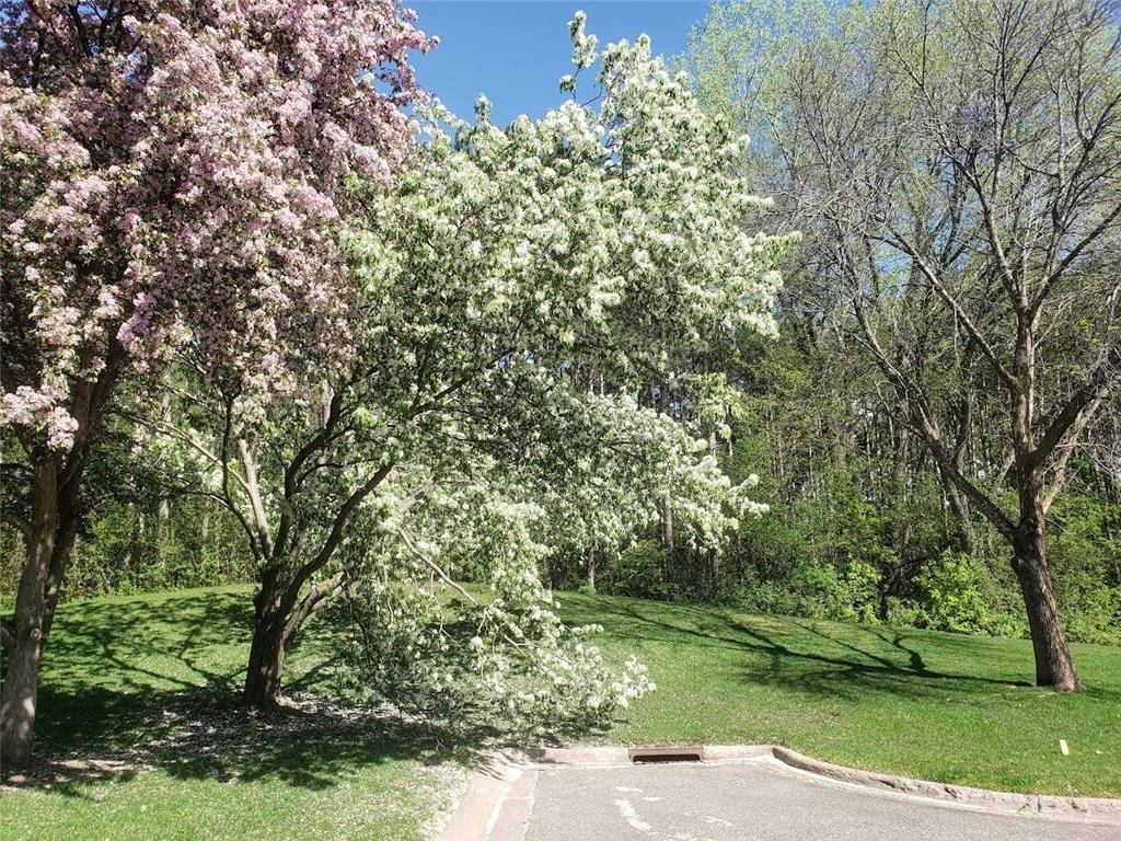 2651 New Century Boulevard S Maplewood MN 55119 7013699 image36