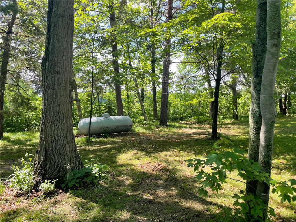 26519 Spruce Circle Roosevelt Twp MN 56450 7104689 image6