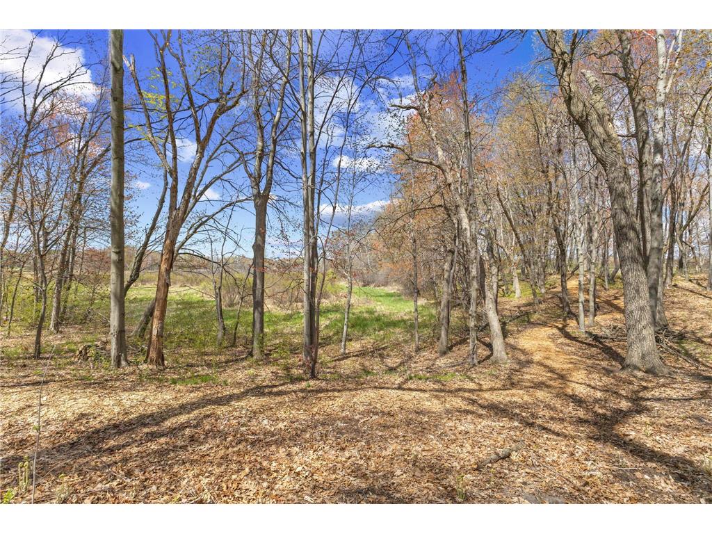 2653 Constance Boulevard NE Ham Lake MN 55304 - Netta 7067290 image50