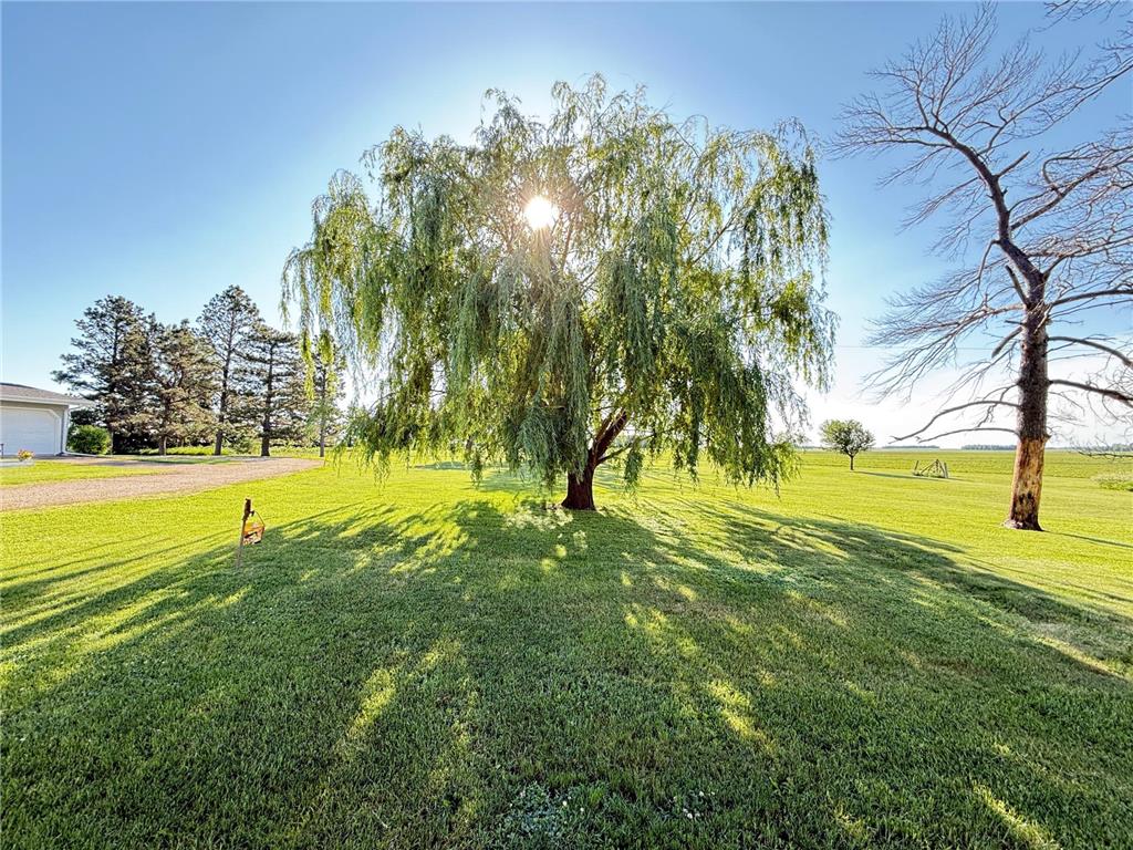 2655 300th Street Madison MN 56256 7092706 image82