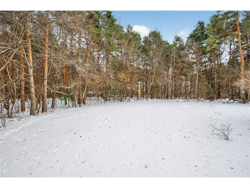26563 Woodlands Parkway Livonia Twp MN 55398 7037425 image64