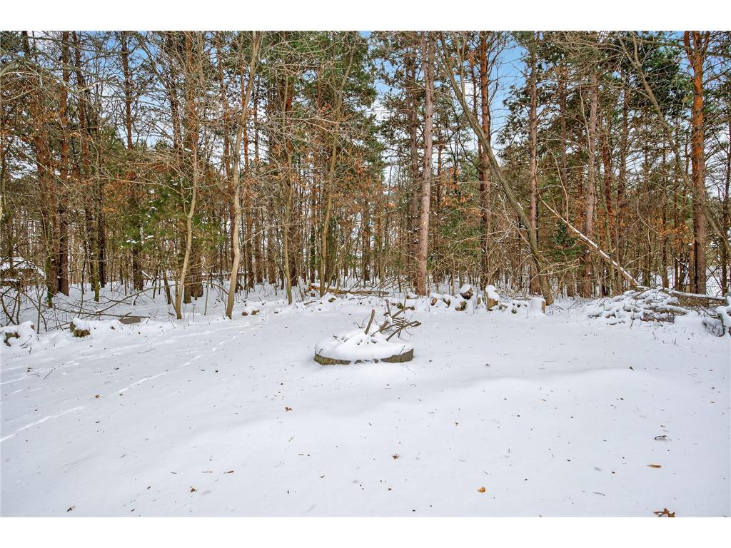 26563 Woodlands Parkway Livonia Twp MN 55398 7037425 image67