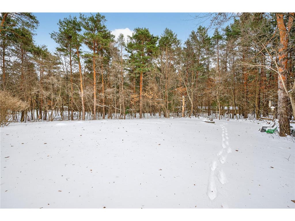 26563 Woodlands Parkway Livonia Twp MN 55398 7037425 image69