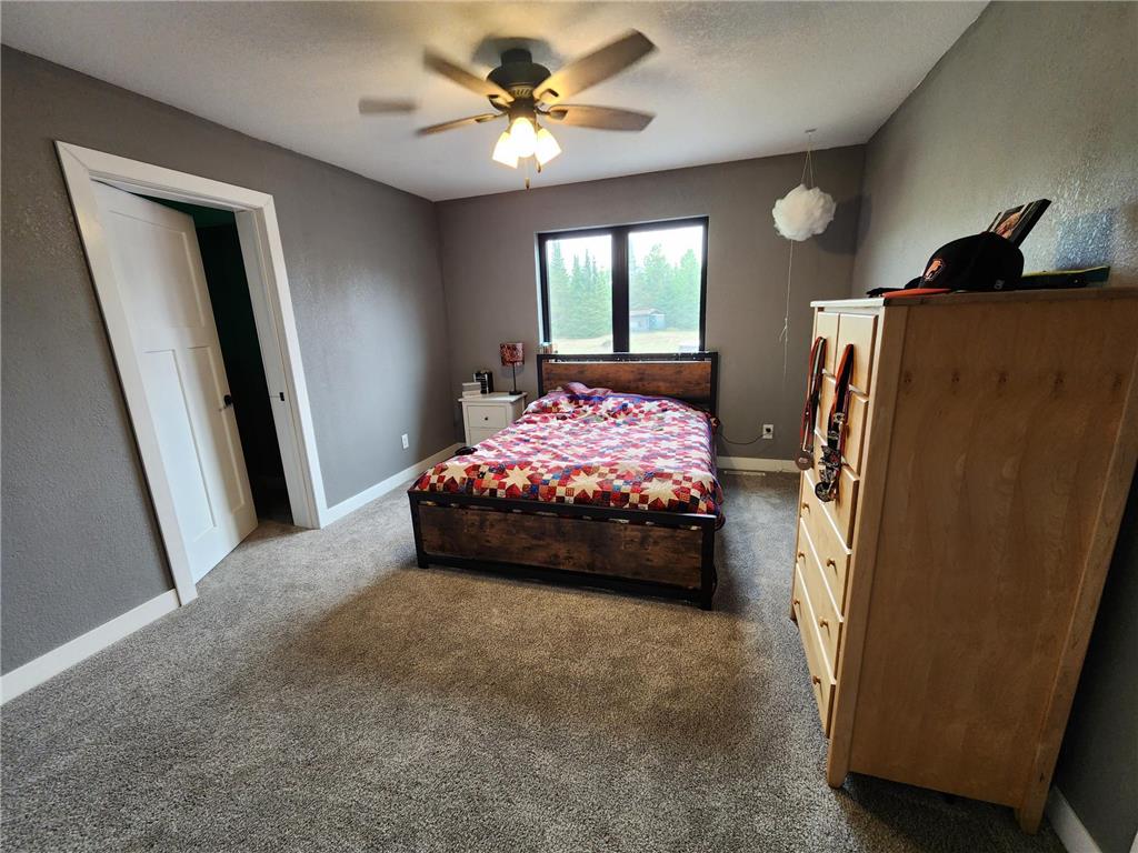 26575 US 71 Arago Twp MN 56470 6731053 image23