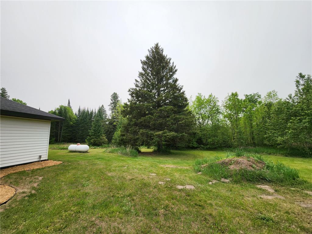 26575 US 71 Arago Twp MN 56470 6731053 image33