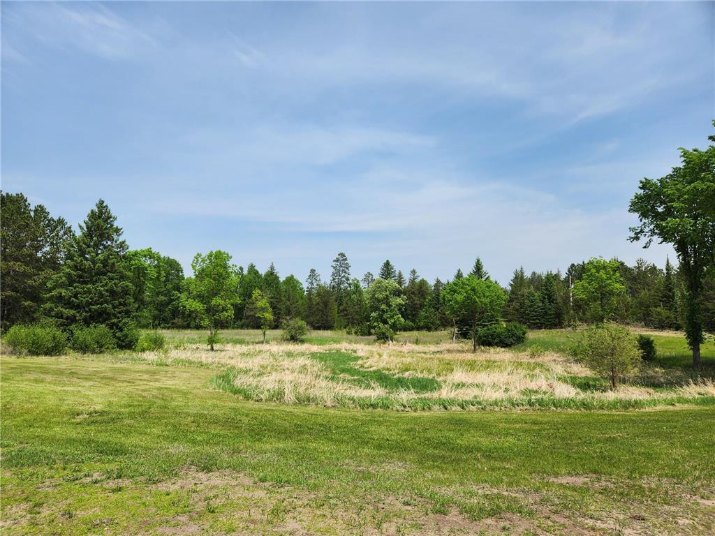 26575 US 71 Arago Twp MN 56470 6731053 image41