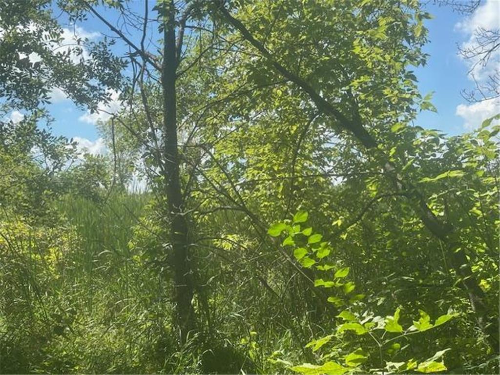 26596 Drew Avenue Elko New Market MN 55020 6660184 image4