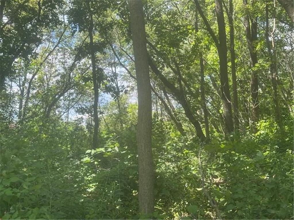 26596 Drew Avenue Elko New Market MN 55020 6660184 image5