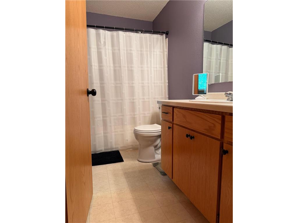 266 1st Street SE Avon MN 56310 7081080 image8