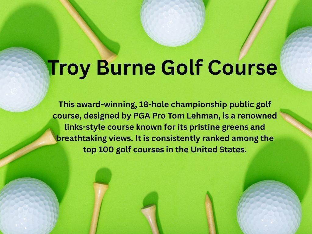 266 Troon Court Troy Twp WI 54016 6798039 image78