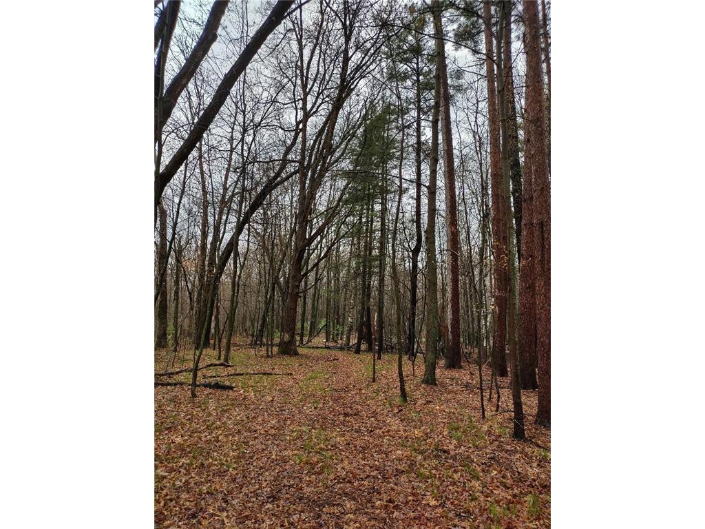 26627 Bluegill Avenue N Webster WI 54893 6527500 image1