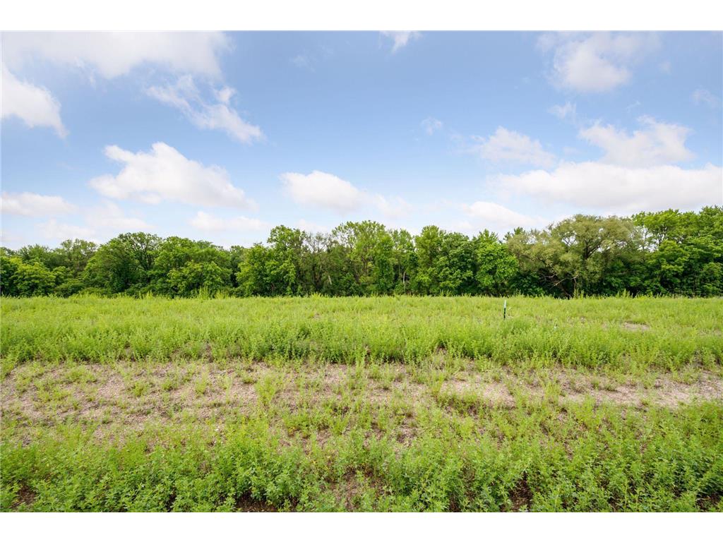 2663 Weston Way Hanover MN 55341 - Crow River 6714242 image4