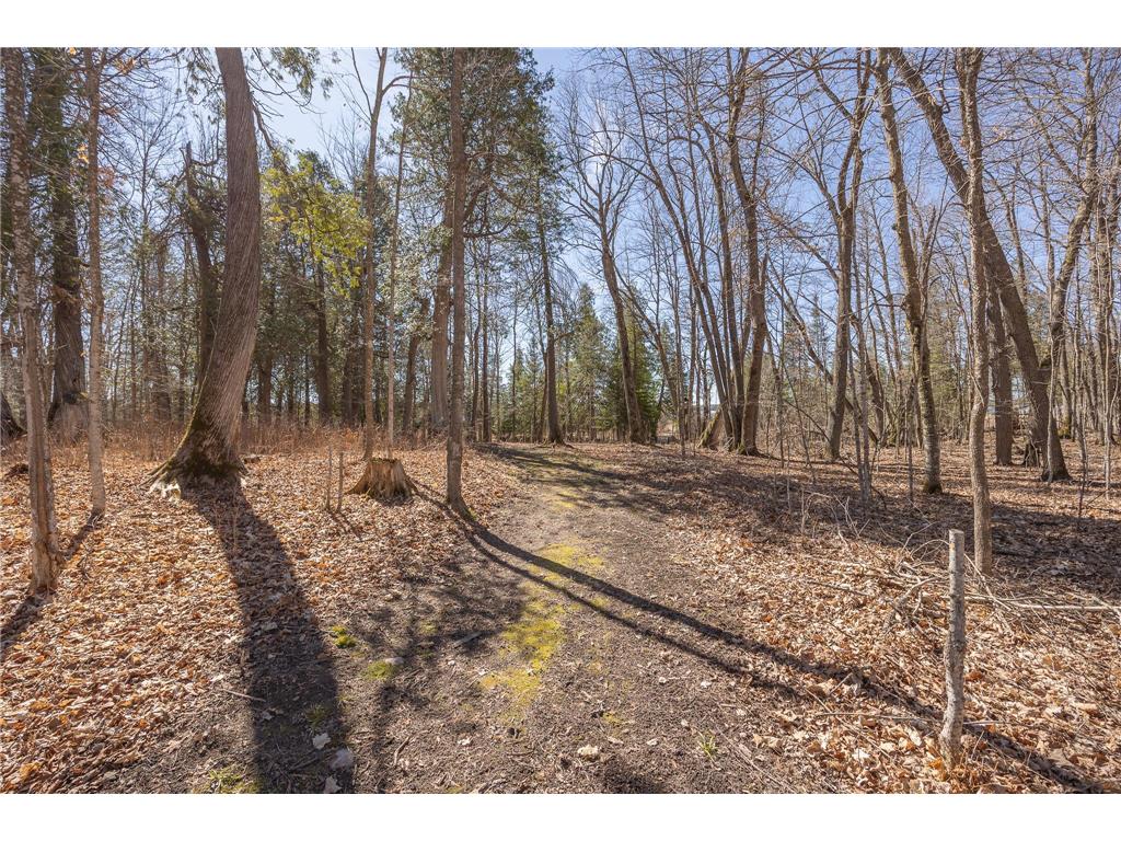 2665 N Boy Lake Trail NE Remer MN 56672 - Boy 7063281 image26