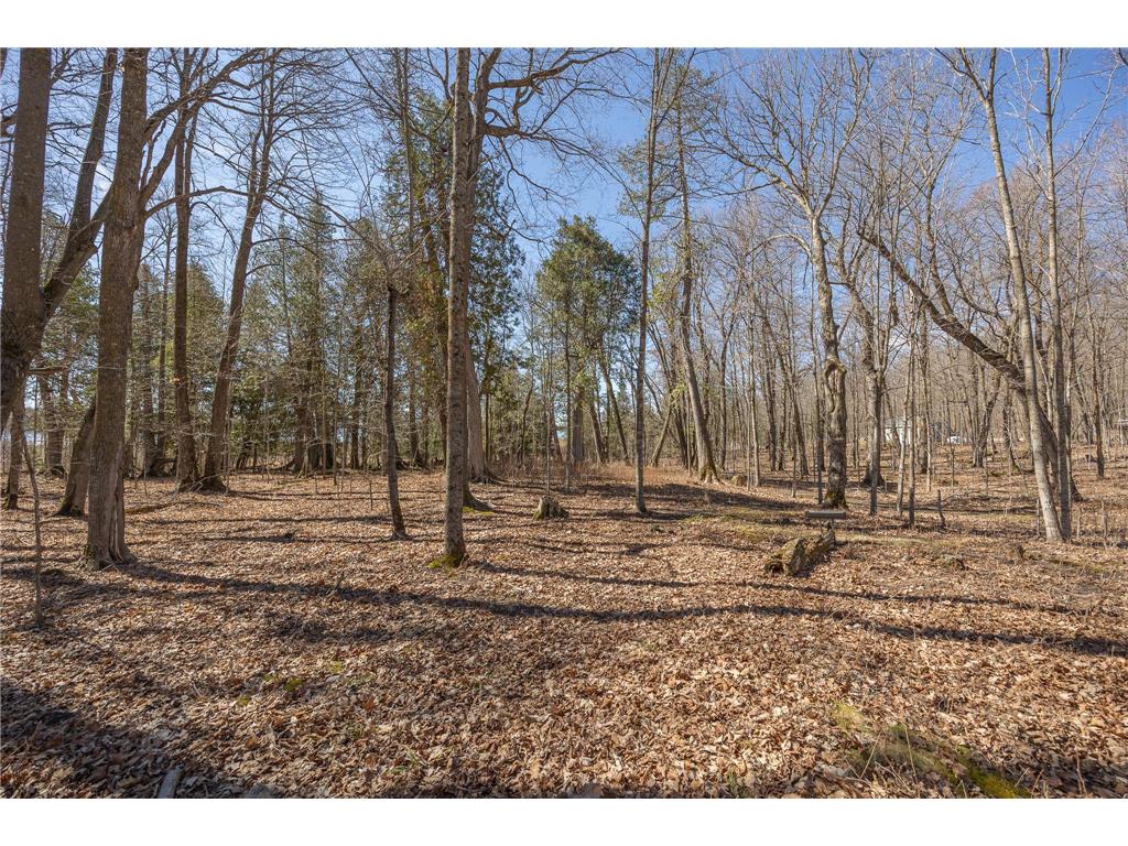 2665 N Boy Lake Trail NE Remer MN 56672 - Boy 7063281 image44