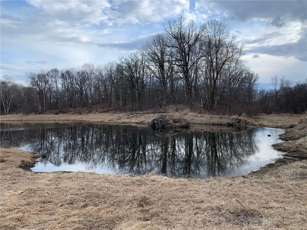 2665x 400th Avenue Rochert MN 56578 6466059 image1