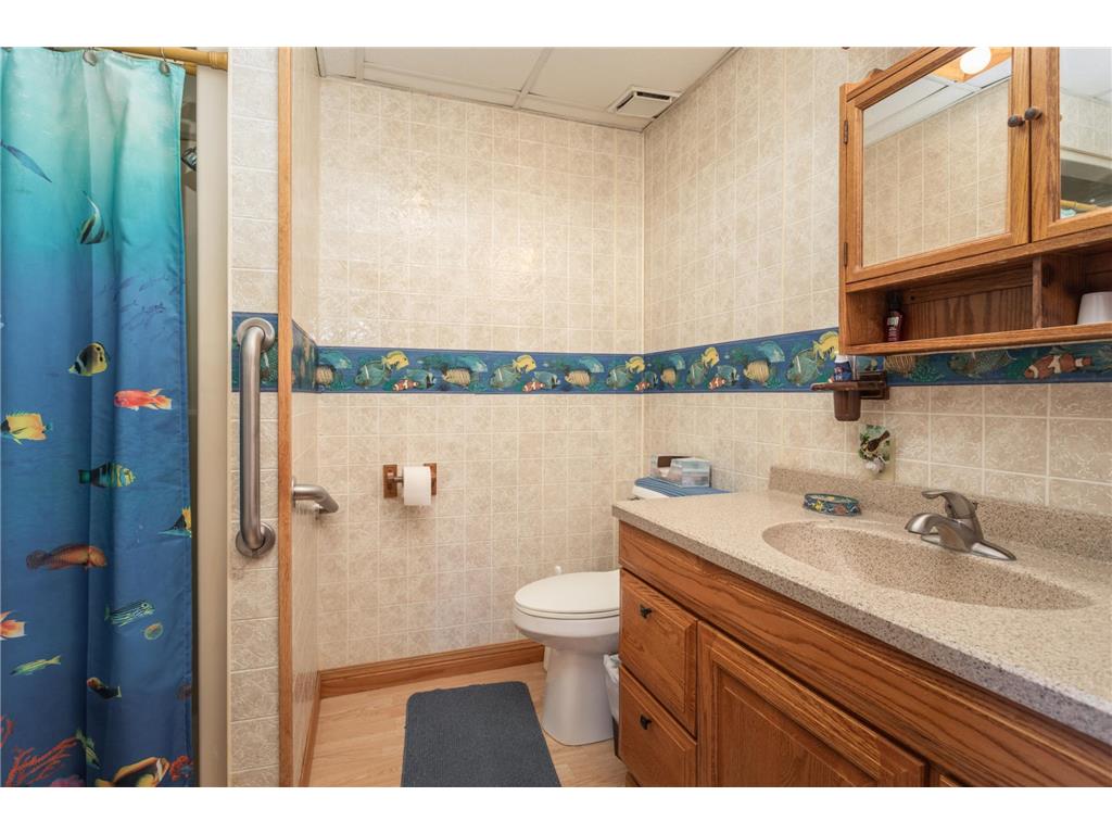 2668 County Road 78 SE Osakis MN 56360 6806682 image3
