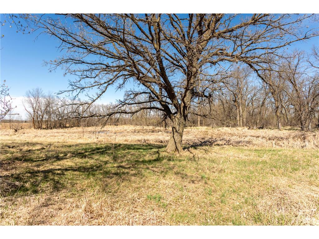 2668 County Road 78 SE Osakis MN 56360 6806682 image37