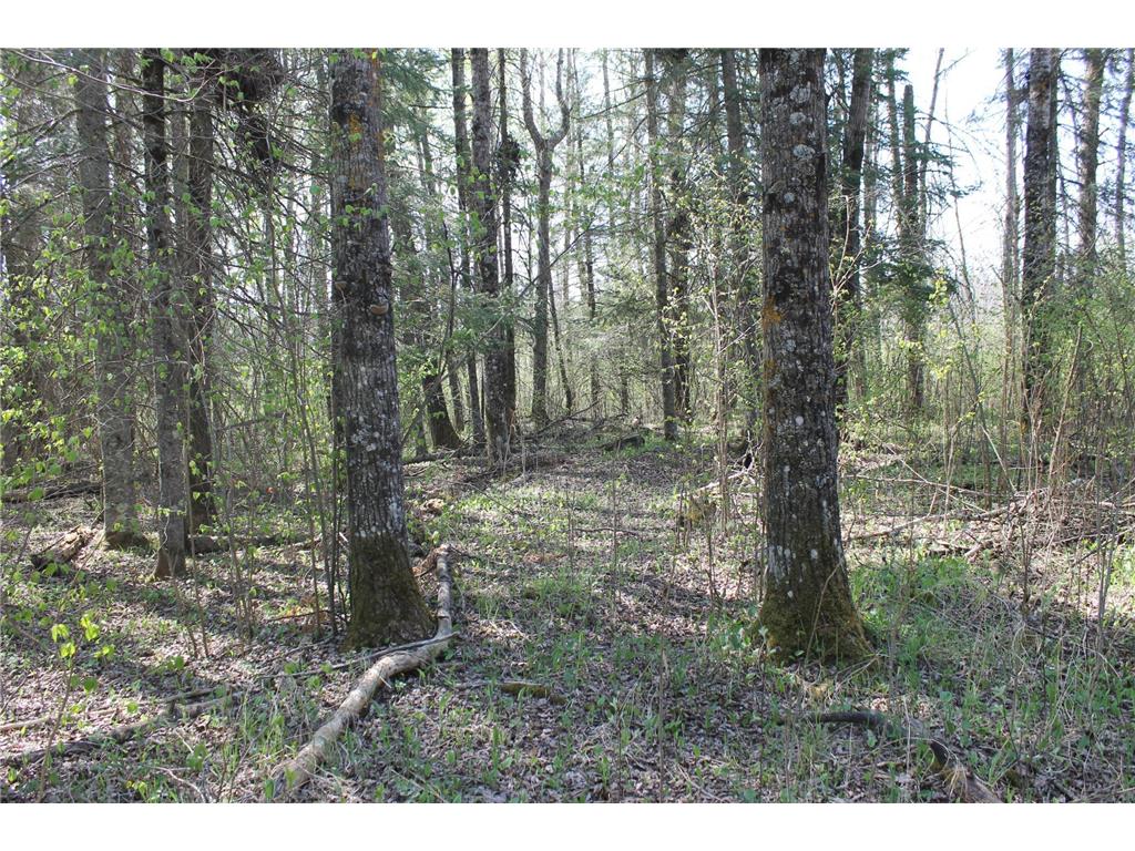 2668 M T Nelson Road Mahtowa Twp MN 55707 6723383 image10