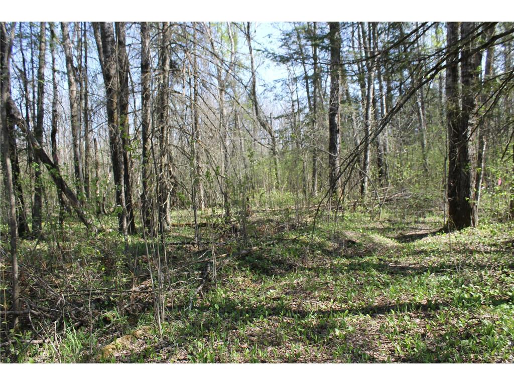 2668 M T Nelson Road Mahtowa Twp MN 55707 6723383 image11