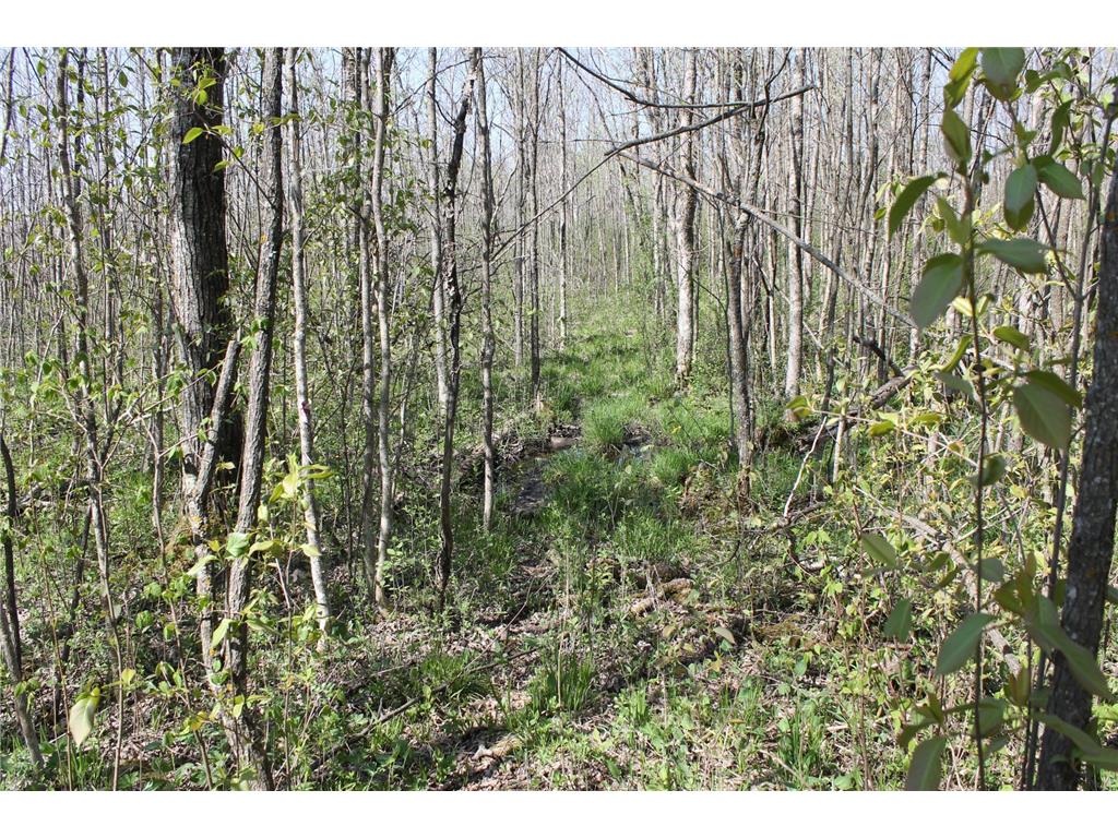 2668 M T Nelson Road Mahtowa Twp MN 55707 6723383 image12