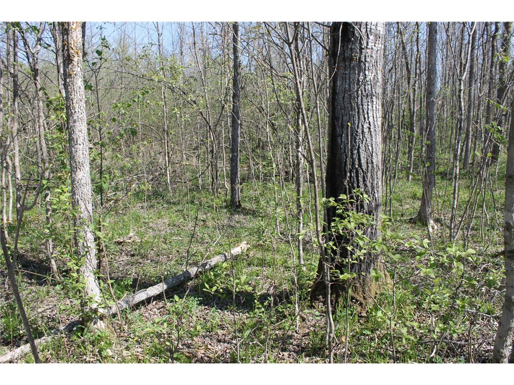 2668 M T Nelson Road Mahtowa Twp MN 55707 6723383 image13