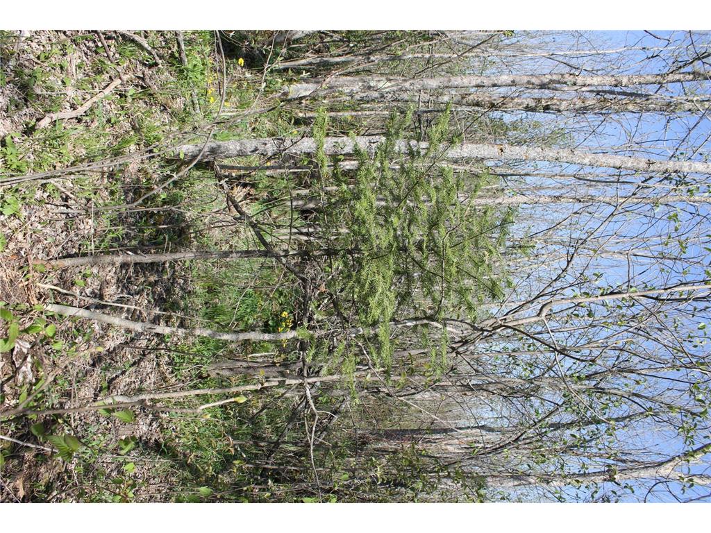 2668 M T Nelson Road Mahtowa Twp MN 55707 6723383 image15