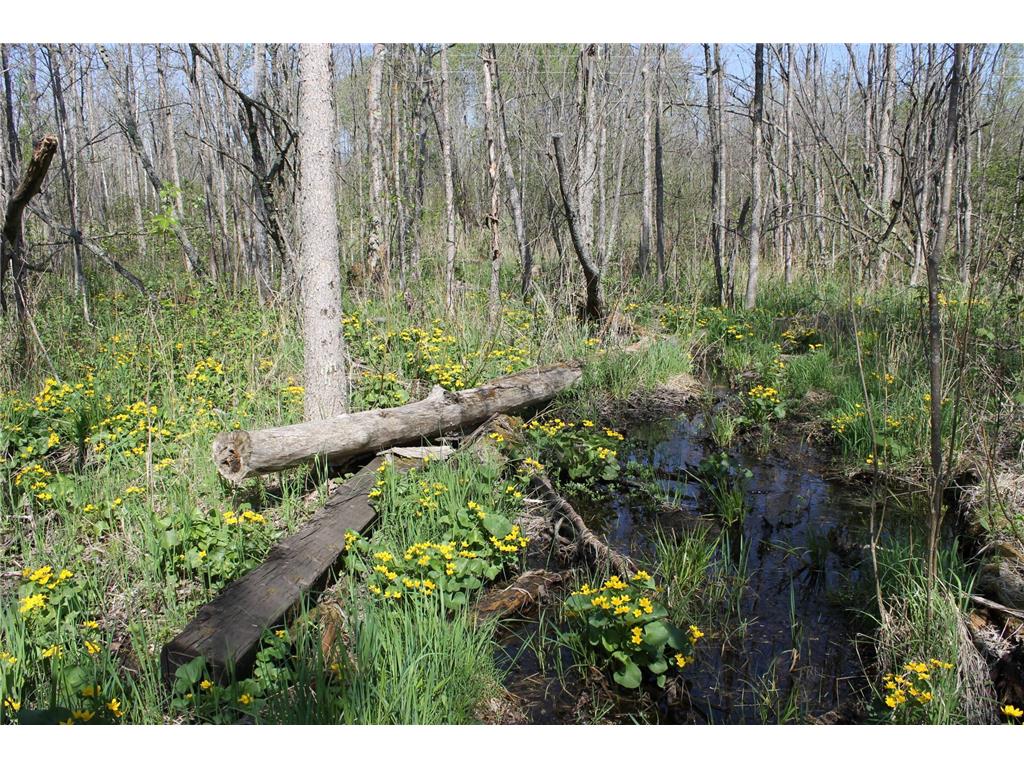 2668 M T Nelson Road Mahtowa Twp MN 55707 6723383 image17