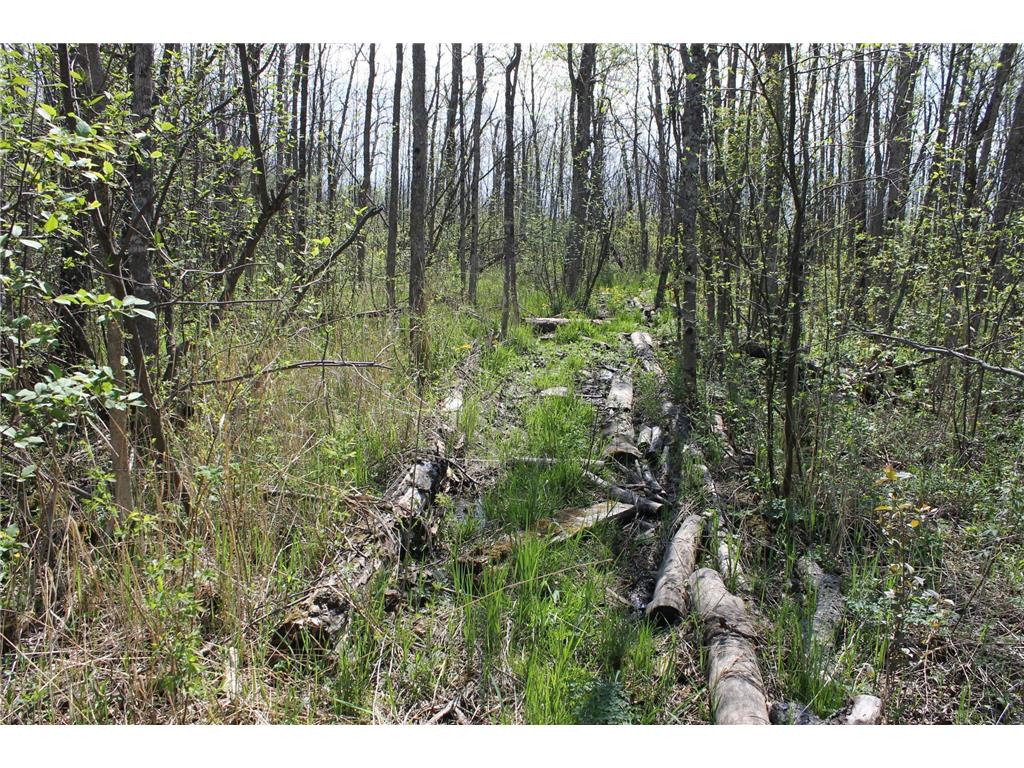 2668 M T Nelson Road Mahtowa Twp MN 55707 6723383 image18