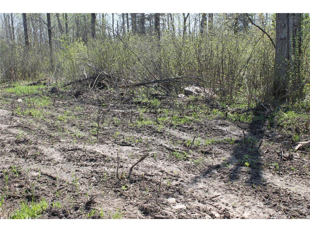 2668 M T Nelson Road Mahtowa Twp MN 55707 6723383 image19