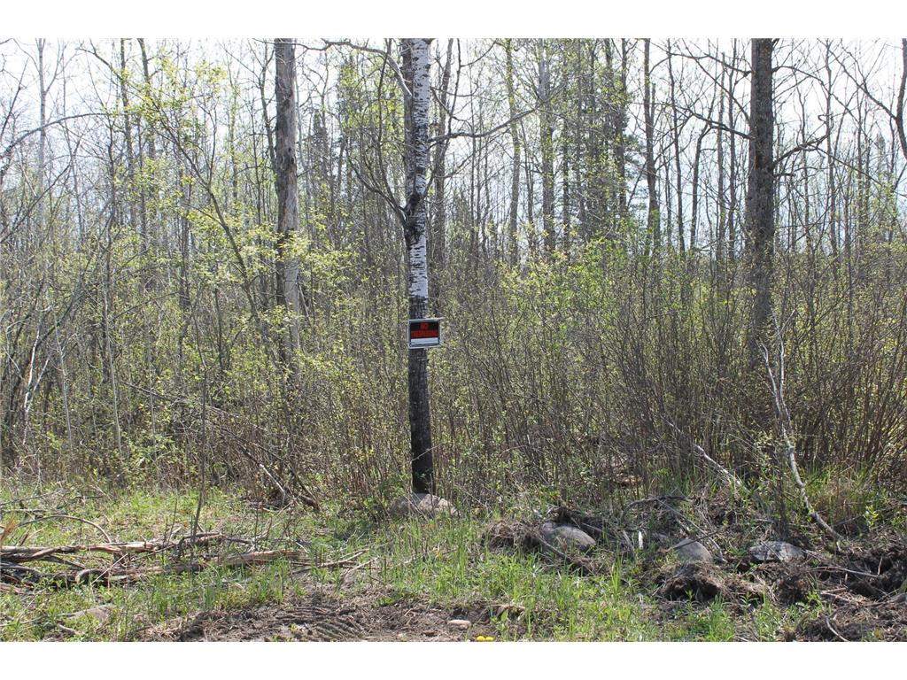 2668 M T Nelson Road Mahtowa Twp MN 55707 6723383 image21