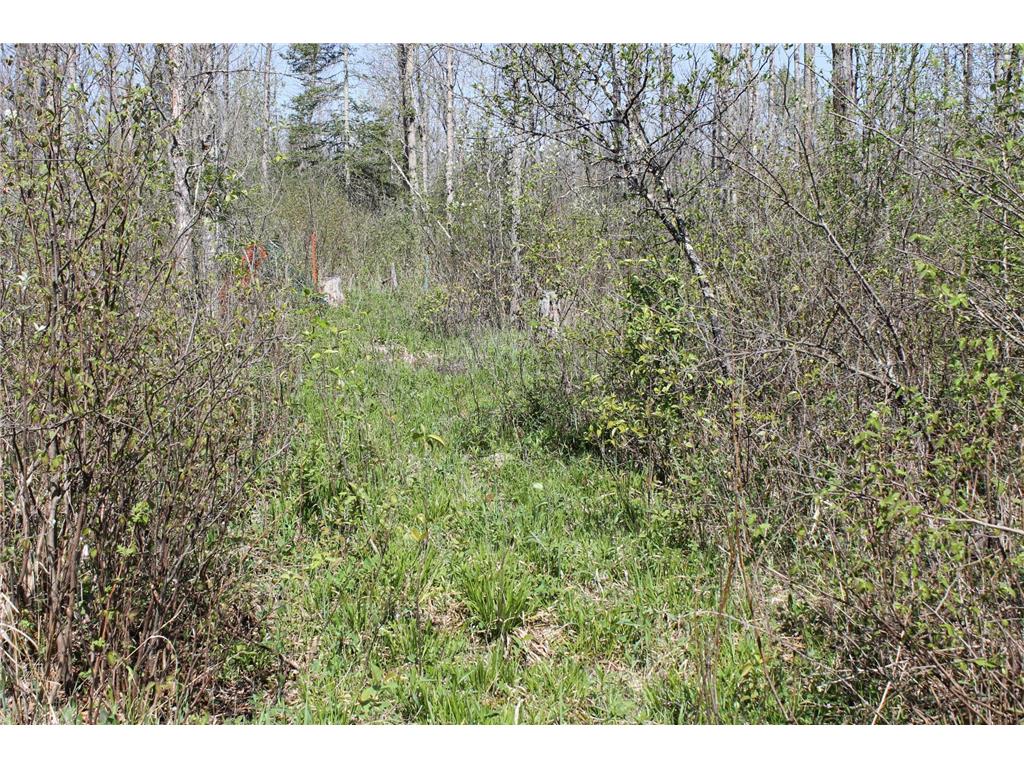 2668 M T Nelson Road Mahtowa Twp MN 55707 6723383 image22
