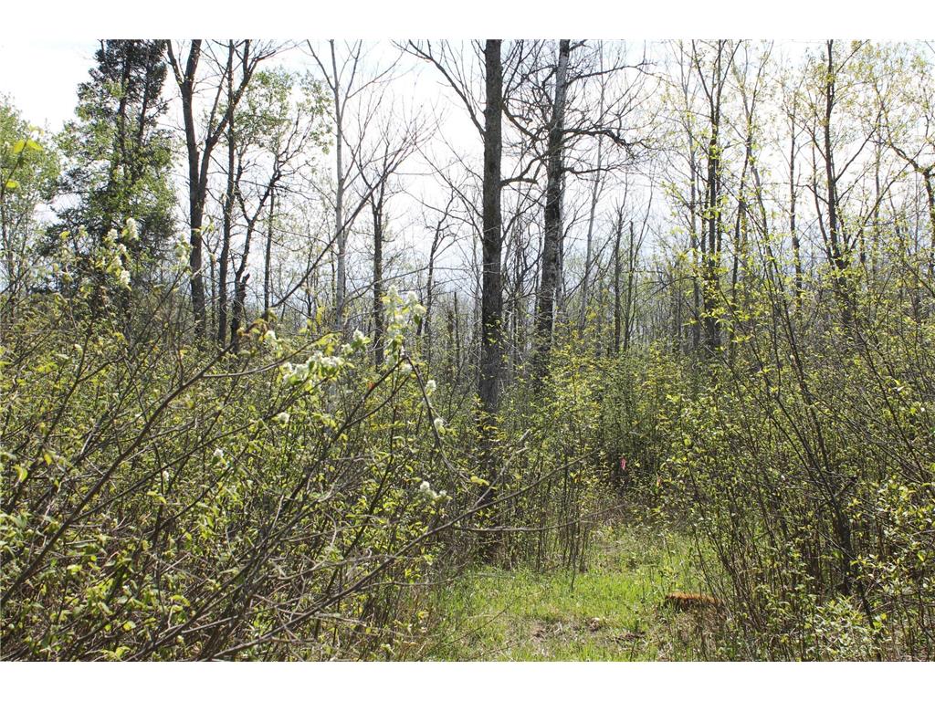 2668 M T Nelson Road Mahtowa Twp MN 55707 6723383 image23