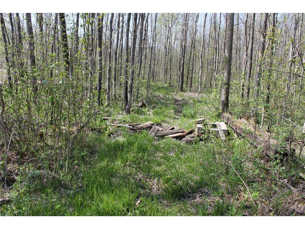 2668 M T Nelson Road Mahtowa Twp MN 55707 6723383 image25