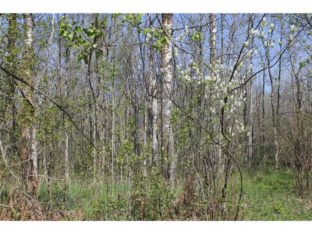 2668 M T Nelson Road Mahtowa Twp MN 55707 6723383 image6