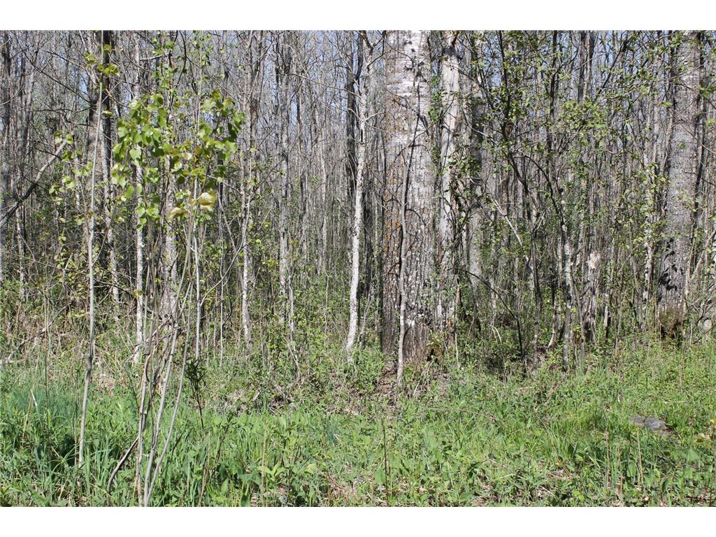 2668 M T Nelson Road Mahtowa Twp MN 55707 6723383 image7