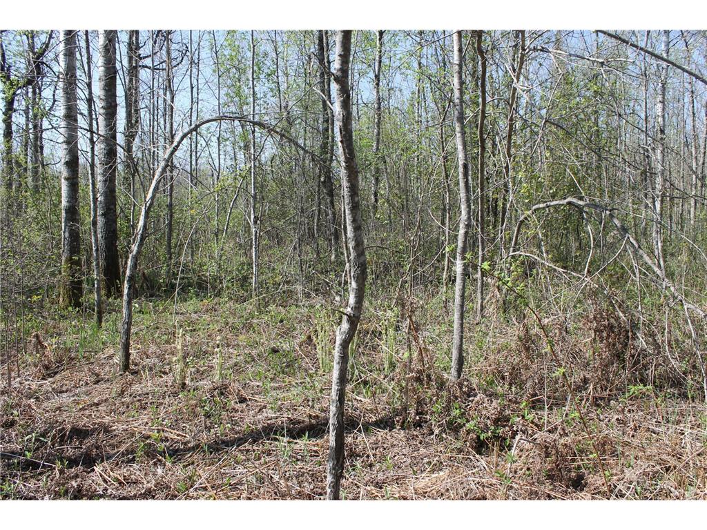 2668 M T Nelson Road Mahtowa Twp MN 55707 6723383 image8