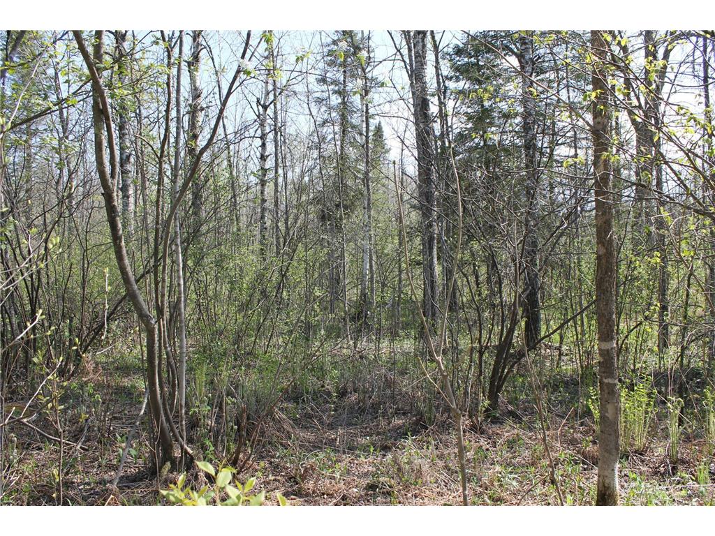 2668 M T Nelson Road Mahtowa Twp MN 55707 6723383 image9