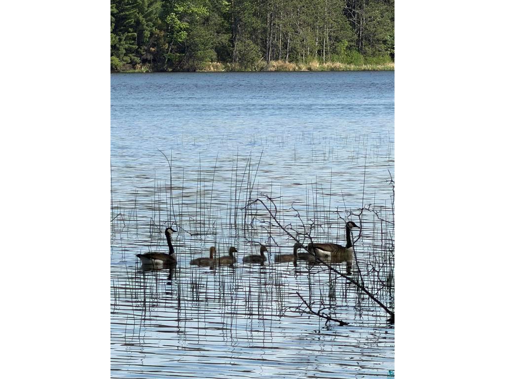 2670 Knock Road Eveleth MN 55734 - Elliot 7089513 image8
