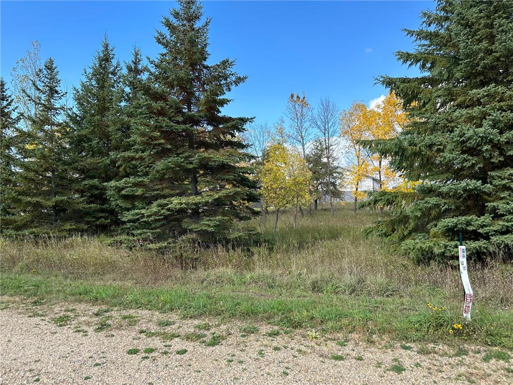 26775 Lidstrom Road Detroit Twp MN 56501 7014557 image1