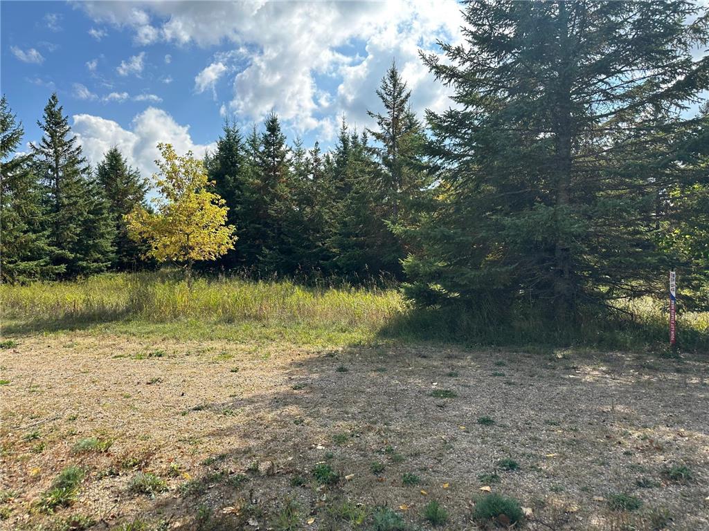 26783 Lidstrom Road Detroit Twp MN 56501 7014547 image1