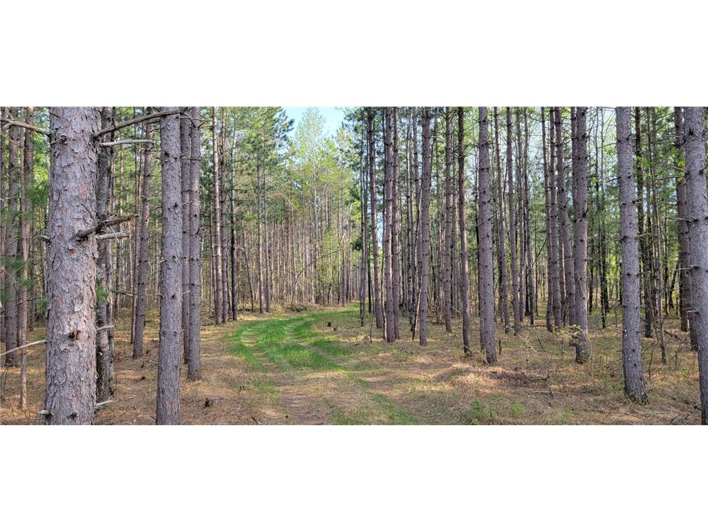 26789 Elk Haven Drive Nevis Twp MN 56467 6371321 image1