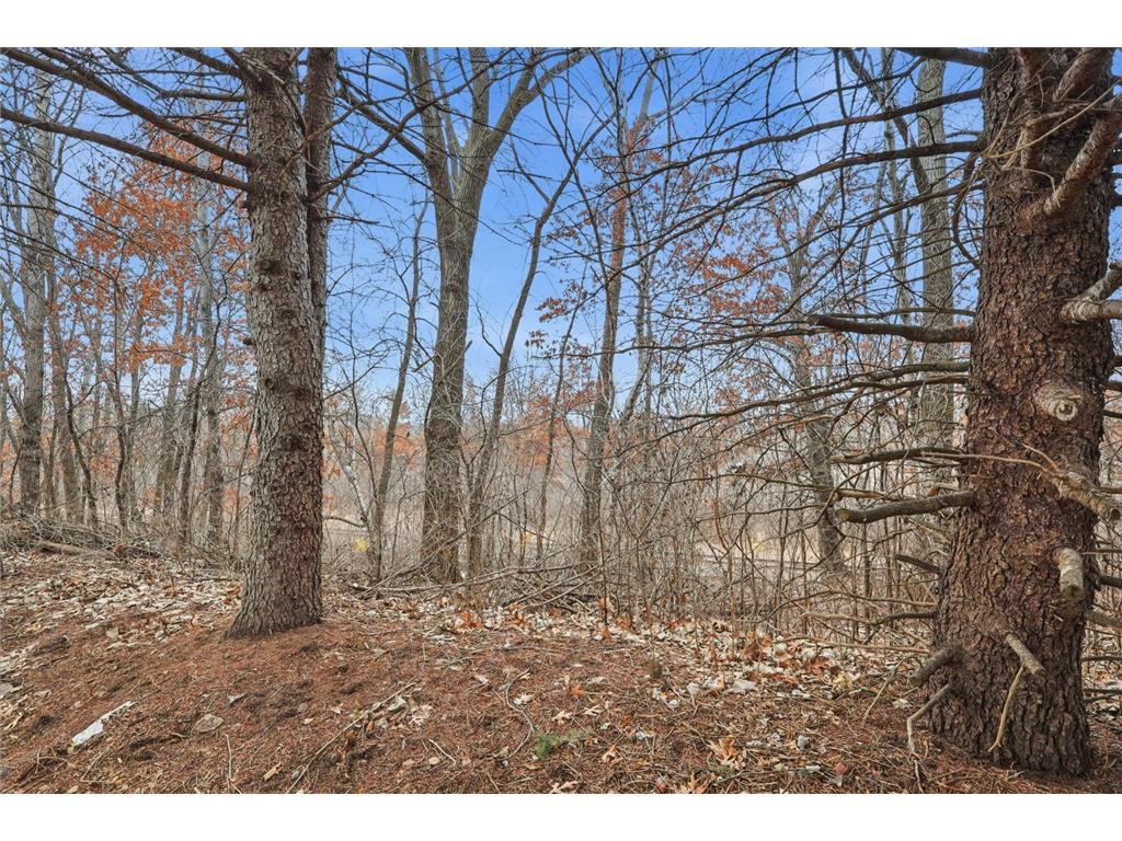 2679 Alissa Lane Maplewood MN 55119 7039018 image10