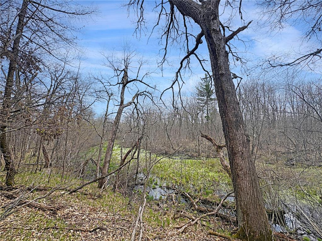 26792 Ice House Bridge Road Lincoln Twp WI 54893 - Clam River 7066105 image14