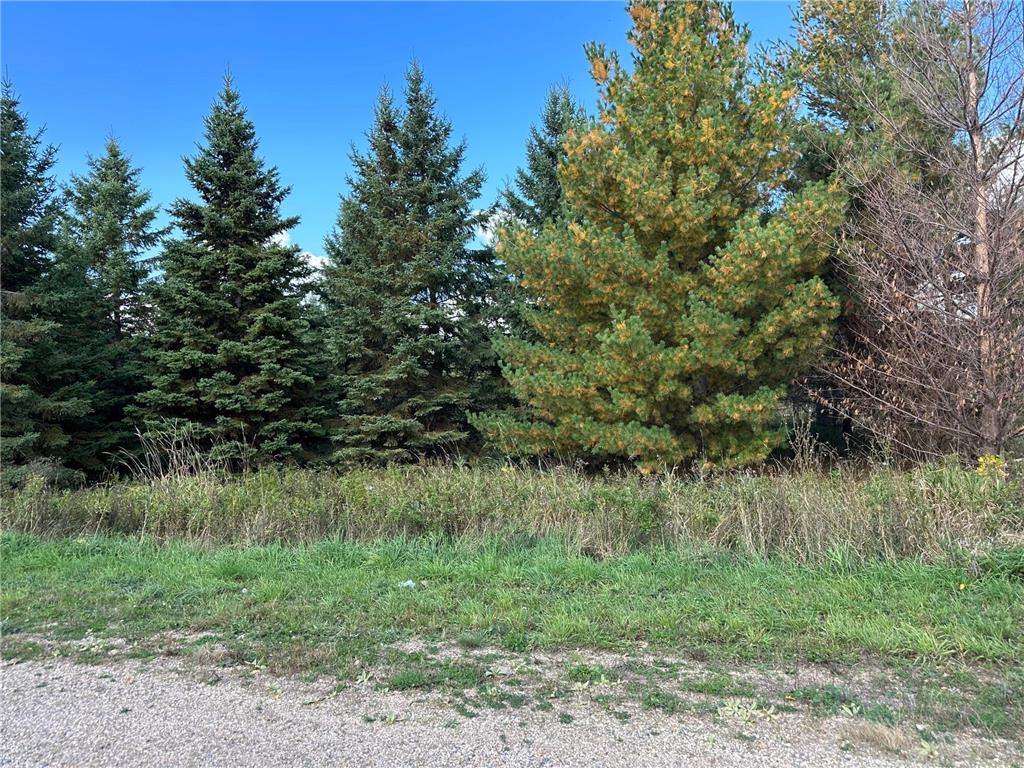 26793 Lidstrom Road Detroit Twp MN 56501 7014571 image1