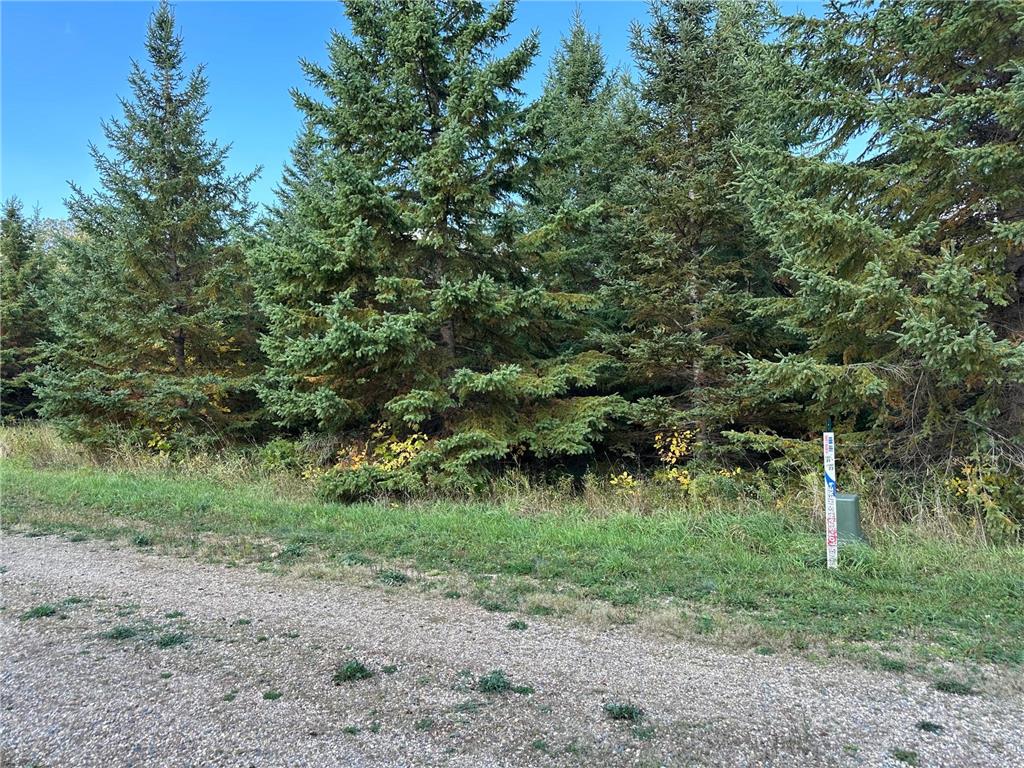 26797 Lidstrom Road Detroit Twp MN 56501 7014575 image1
