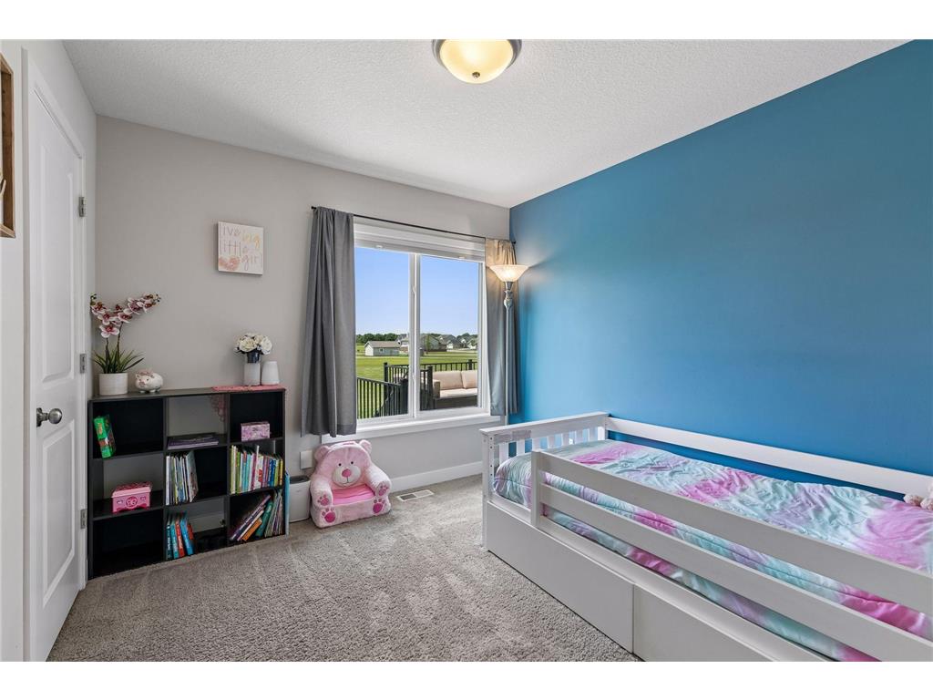 268 Tower Avenue Dundas MN 55019 7088383 image19